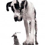 COURAGE