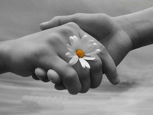 Gratitudine, restituzione: una strada verso il tuo benessere personale. Il Blog di Yes Coaching