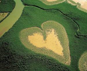 Auguri di cuore dal BLOG di YES COACHING !!