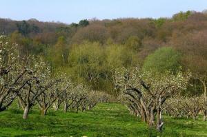 Isolarsi nella natura. Il Blog di Yes Coaching