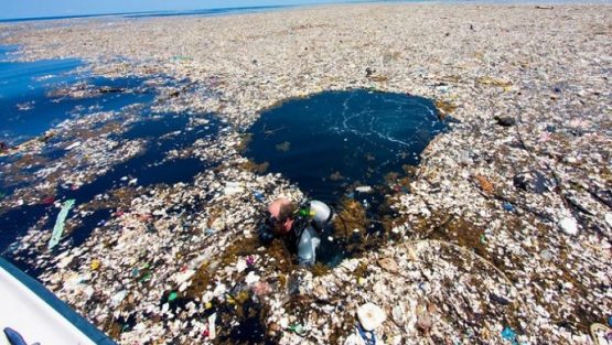 Usiamo l’isola di plastica al largo dei Caraibi! Come?